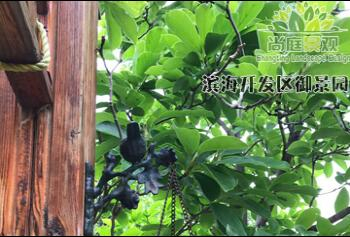 天津景觀設(shè)計(jì)