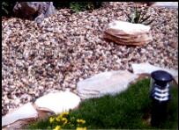 迎全運園林景觀布置近尾聲 津城全“約娃地圖”來了