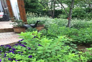 家庭景觀設(shè)計(jì)