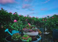 天津私人花園鋪裝材料的選擇