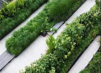 天津花園景觀邊界處理的方式