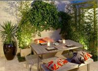 天津植物養(yǎng)護時常見的幾種病害分辨