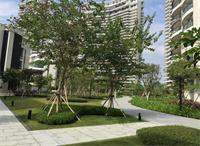 天津園林景觀小品中花壇的樣式分類