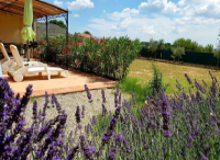 別墅花園設計之綠色驅蚊體系