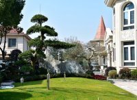 打造別墅花園設計園林景象的秘訣