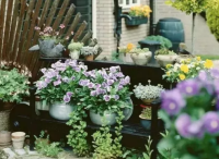 庭院景觀設(shè)計——這些院子景象常識要把握