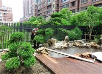 天津私人別墅庭院施工中水景景觀規(guī)劃有哪些規(guī)則